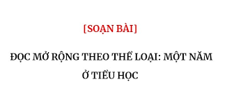 Nội dung chính bài Một năm ở Tiểu học hay nhất - Chân trời sáng tạo