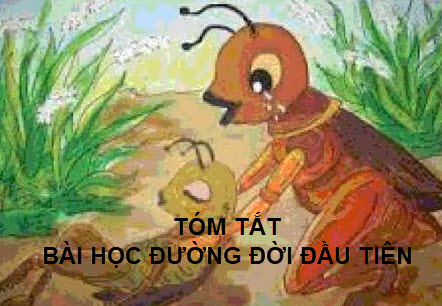 Soạn bài Bài học đường đời đầu tiên - Ngắn nhất Kết nối tri thức