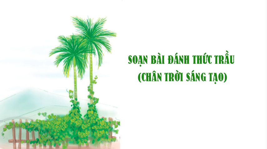 Soạn bài Đánh thức trầu - Chân trời sáng tạo
