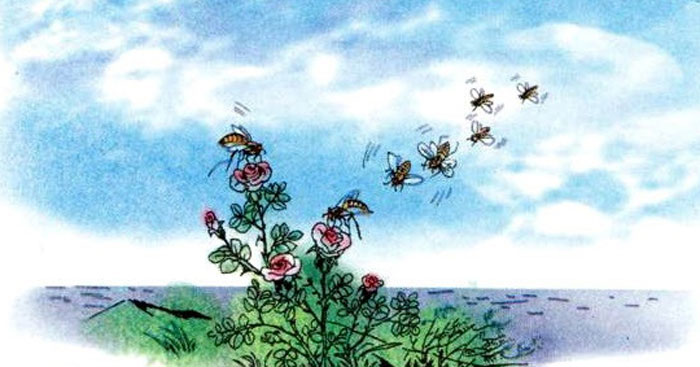 Soạn bài Hành trình của bầy ong trang 106 - Kết nối tri thức