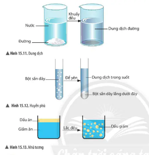 Khoa học tự nhiên 6 Bài 15: Chất tinh khiết – Hỗn hợp - Chân trời sáng tạo