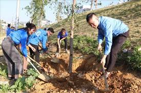 Soạn bài Trình bày báo cáo kết quả nghiên cứu về một vấn đề tự nhiên hoặc xã hội - Kết nối tri thức